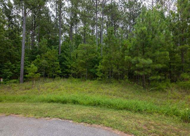 Property at Lot 114 Dock, Lincolnton, GA 30817