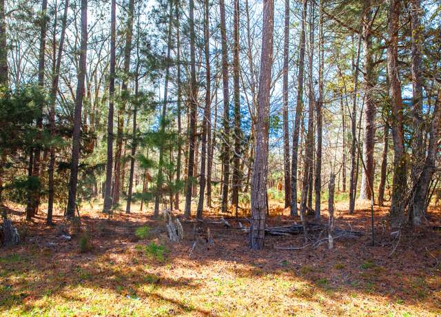 Property at LOT 7 MISTLETOE Rd, Appling, GA 30802