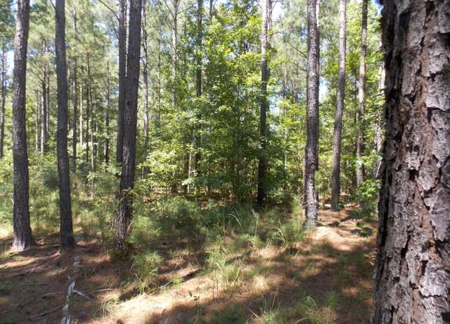 Property at 2 LIGHTHOUSE Pt, Lincolnton, GA 30817