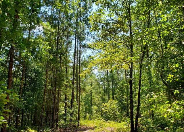 Property at 1027 Grindstone Crk, Hephzibah, GA 30815