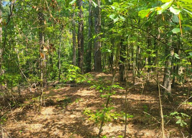 Property at 0 BUMPUS, Appling, GA 30802