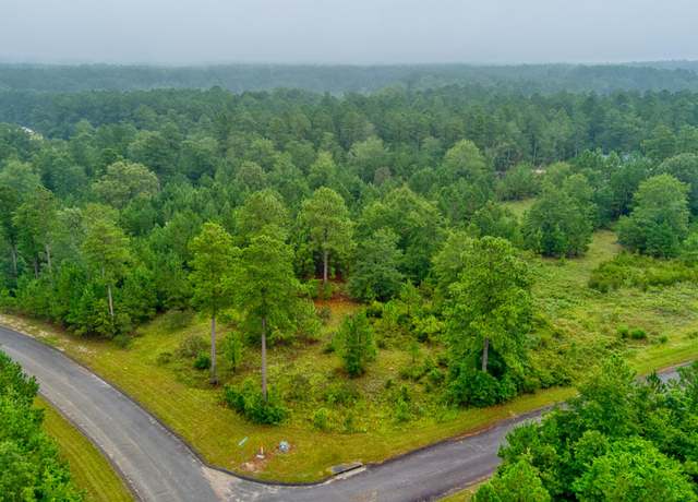 Property at Lot 5 Cooks Pond Rd, Windsor, SC 29856
