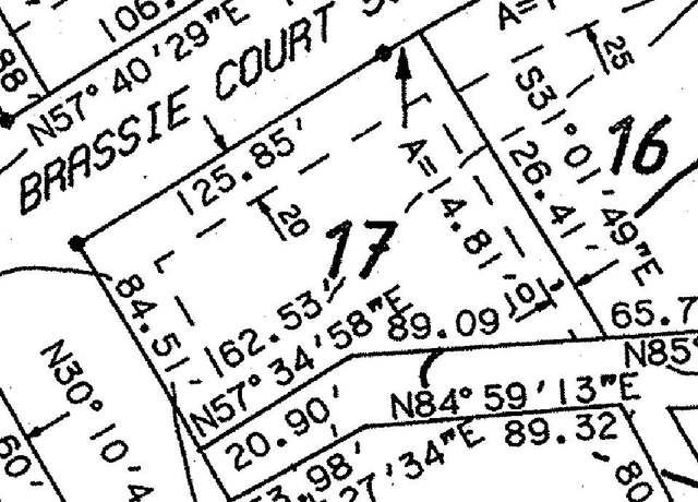 Property at L-17 B-25 CORNER- BRASSIE DR & DIVOT Ct, Mccormick, SC 29835