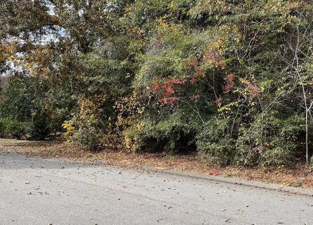 Property at 0 TAVELLE PLANTATION, Beech Island, SC 29842