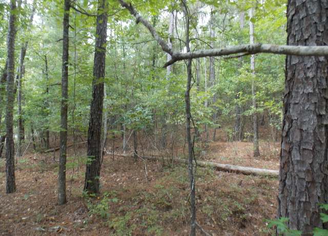 Property at 60 LBK Cir, Tignall, GA 30668