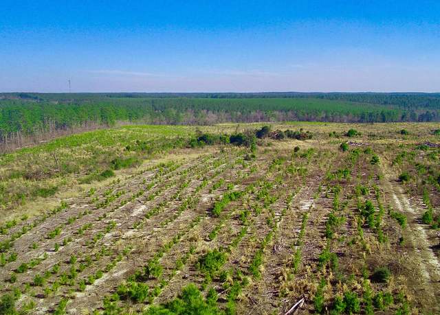 Property at 000 Three Notch, Monetta, SC 29105