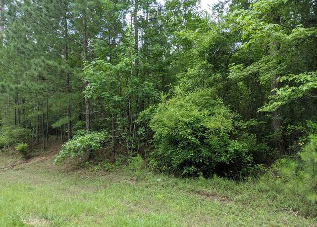 Property at LOT 1 INDIAN, Lincolnton, GA 30817