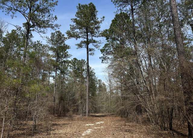 Property at LOT 7 COOKS POND, Windsor, SC 29856