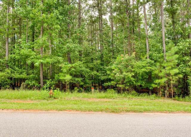 Property at LOT 58 LIGHTHOUSE POINTE, Lincolnton, GA 30817