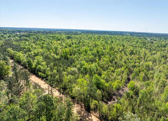 Property at 0 WHITAKER, Dearing, GA 30808