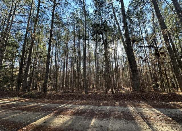 Property at LOT 3 SAGGUS, Washington, GA 30673