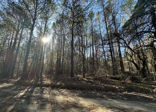 Property at LOT 6 SAGGUS, Washington, GA 30673