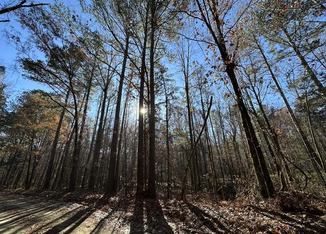 Property at LOT 8 SAGGUS, Washington, GA 30673