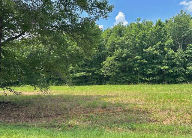 Property at 0 Chappel, Waynesboro, GA 30830