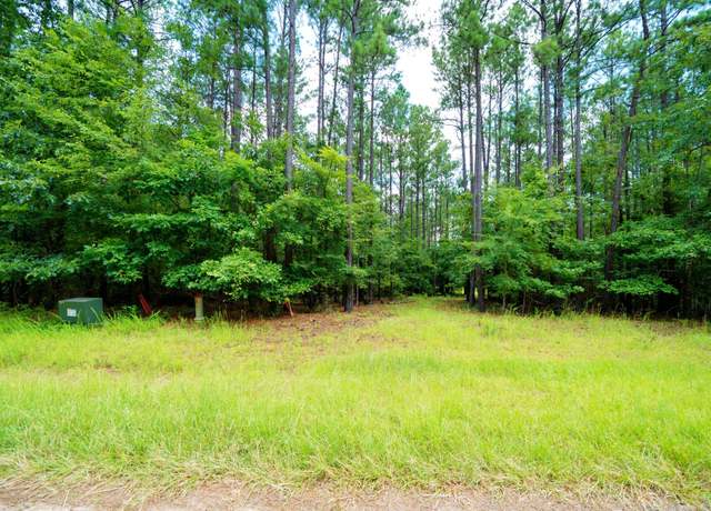 Property at Lot 36 Savannah Rdg, Lincolnton, GA 30817