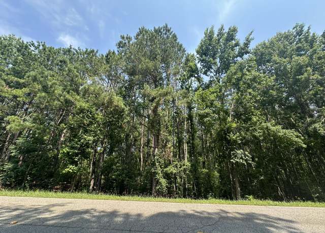 Property at Lot 1-E Ridge, Appling, GA 30802