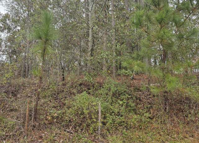 Property at 533 & 549 LAKE CRYSTAL, Waynesboro, GA 30830