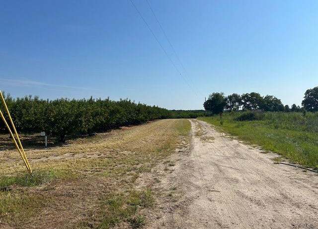 Property at 0 Tillman, Trenton, SC 29847