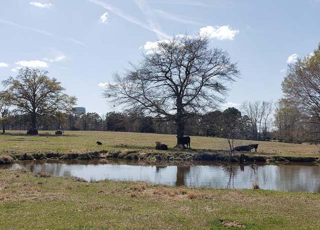 Property at 716 Augusta, Edgefield, SC 29824