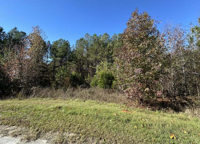 Property at 1217 EDGE, Tignall, GA 30668