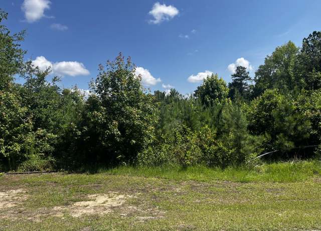 Property at 0 Young, Wrens, GA 30833