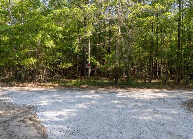 Property at 0 WASP Lot B, Williston, SC 29853