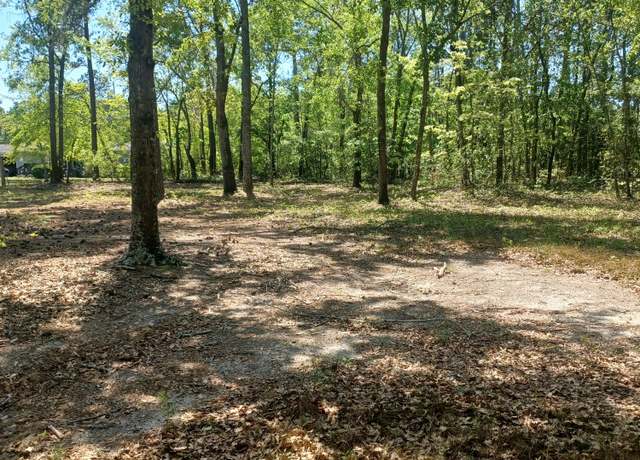 Property at 169 Courtney, Trenton, SC 29847