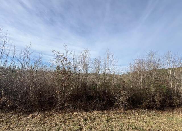 Property at LOT2 HEPHZIBAH CHURCH, Lincolnton, GA 30817