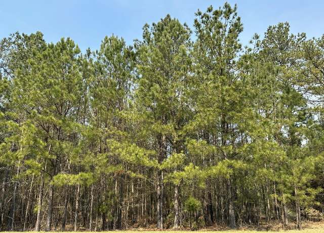 Property at 1126 SUNSET, Tignall, GA 30668