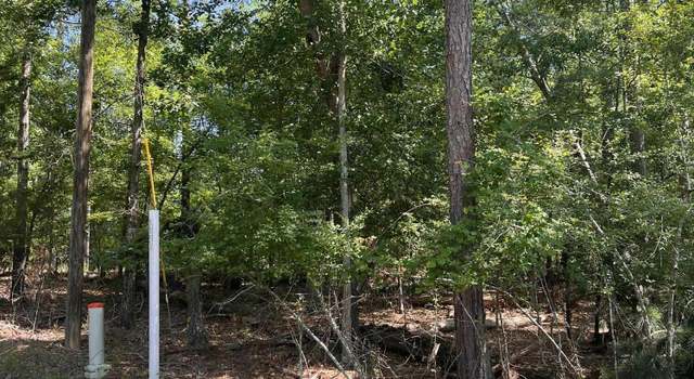 Photo of Lot 112 Pawnee, GA 30817