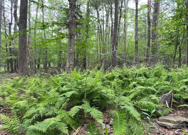 Property at 47 - 67 Shad Rd, East Jewett, NY 12444