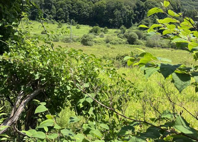 Property at 0 Pleasant Ridge Rd, Poughquag, NY 12570