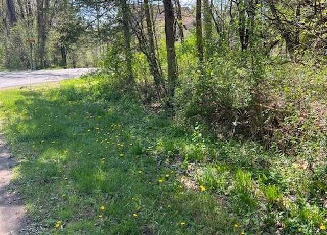 Property at 4 Catskill Ct, Athens, NY 12015