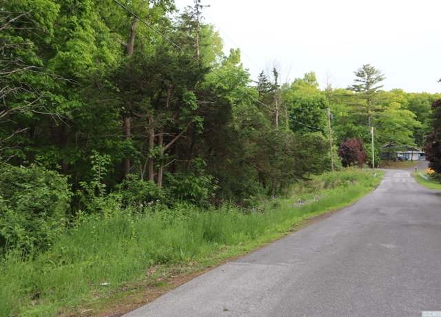 Property at 0 Route 23, Cairo, NY 12058