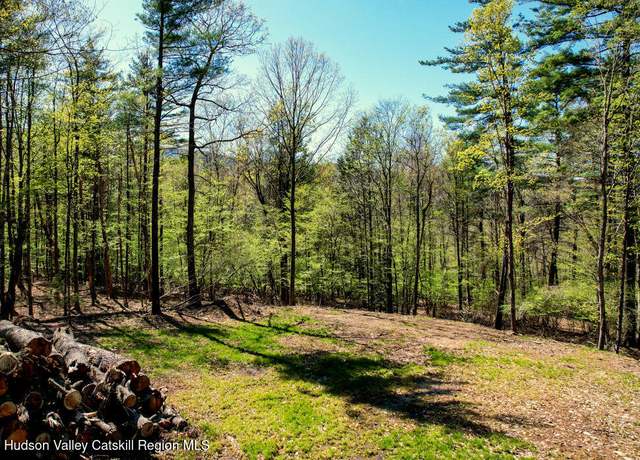 Property at 5305 Route 212, Mount Tremper, NY 12457