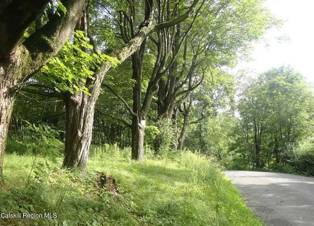 Property at Tbd Henry Rd, Cragsmoor, NY 12420