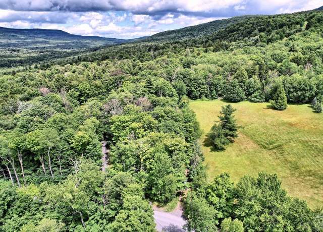 Property at 419 Clum Hill Rd, Hunter, NY 12442