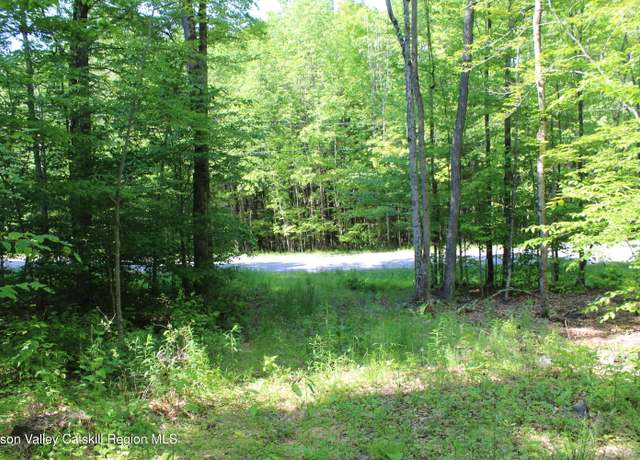 Property at 380 Terrace Dr, Lexington, NY 12468