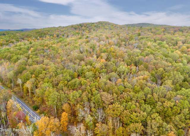 Property at 000 State Route 82, Gallatin, NY 12567