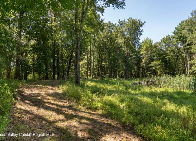 Property at 43 Buttermilk Falls Rd, Athens, NY 12015