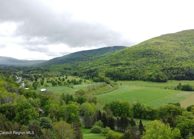 Property at 51 North Settlement, Ashland, NY 12407