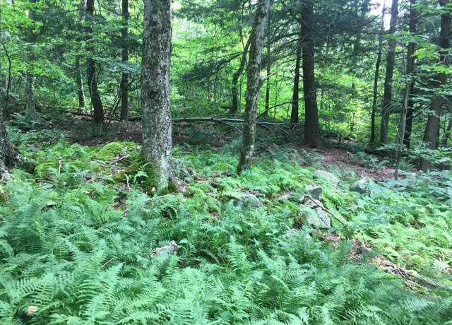 Property at 1656 Frost Valley Rd, Claryville, NY 12725