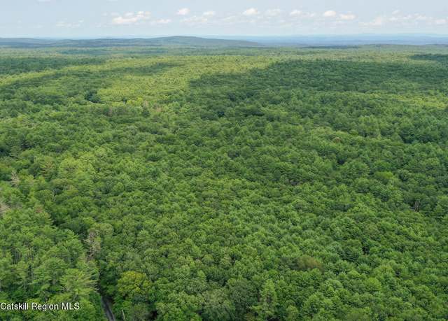 Property at 00 John Joy Road Lot 2, Woodstock, NY 12498