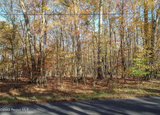 Property at Tbd Oak Rdg, Wawarsing, NY 12489