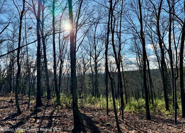 Property at 00 Dug Hl, Hurley, NY 12443
