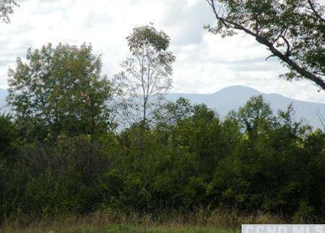 Property at 0 Lockwood Rd, Livingston, NY 12541
