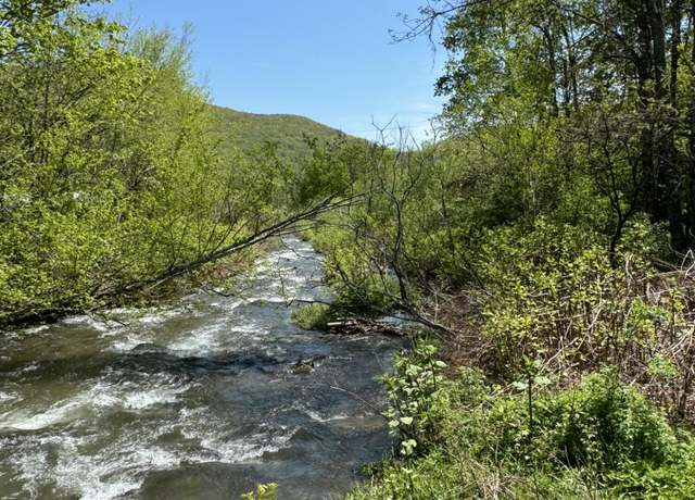 Property at Tbd Route 28, Oliverea, NY 12725