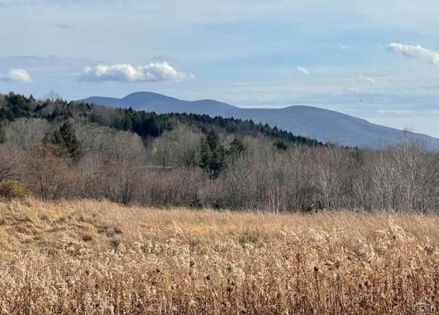 Property at 0 - Lot 1 Vining Rd, Windham, NY 12496