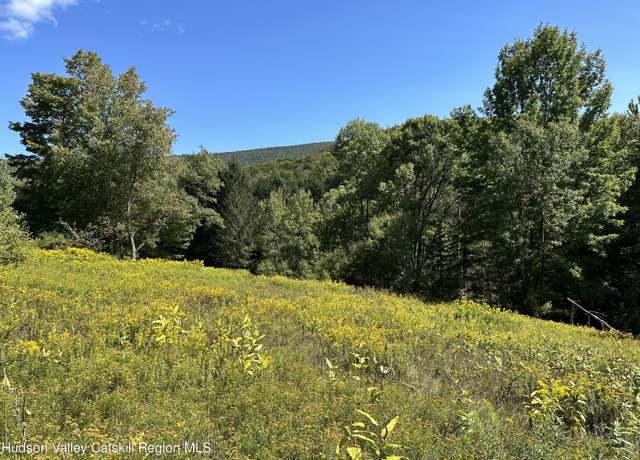 Property at Tbd Todd Mountain Rd, Arkville, NY 12406