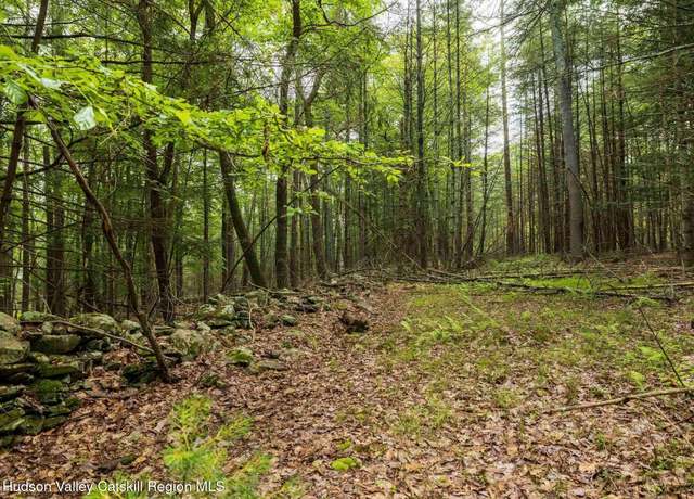 Property at 0 Lot 1 Church Rd, Woodstock, NY 12409